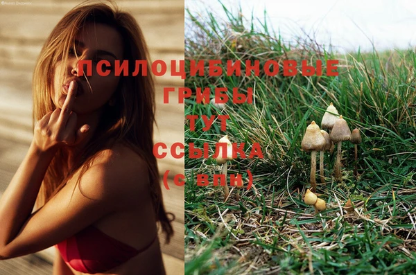 кокс Арсеньев