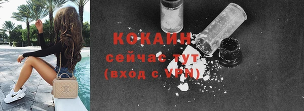 кокс Арсеньев