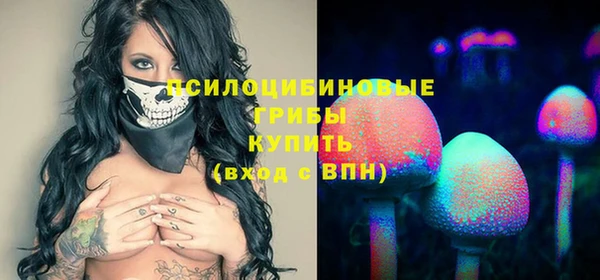 ГАЛЛЮЦИНОГЕННЫЕ ГРИБЫ Аркадак
