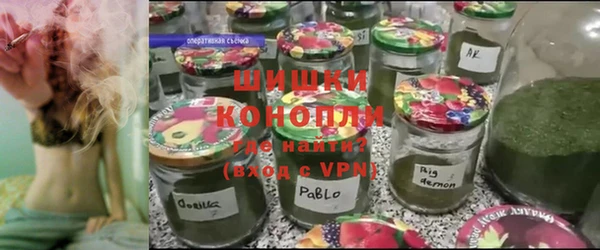 ГАЛЛЮЦИНОГЕННЫЕ ГРИБЫ Аркадак
